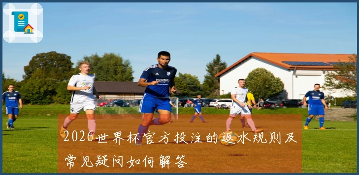 2026世界杯官方投注的返水规则及常见疑问如何解答
