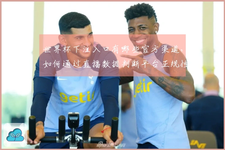 世界杯下注入口有哪些官方渠道，如何通过直播数据判断平台正规性