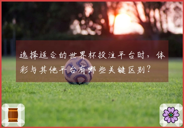 选择适合的世界杯投注平台时，体彩与其他平台有哪些关键区别？