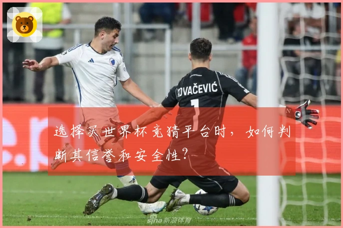 选择买世界杯竞猜平台时，如何判断其信誉和安全性？