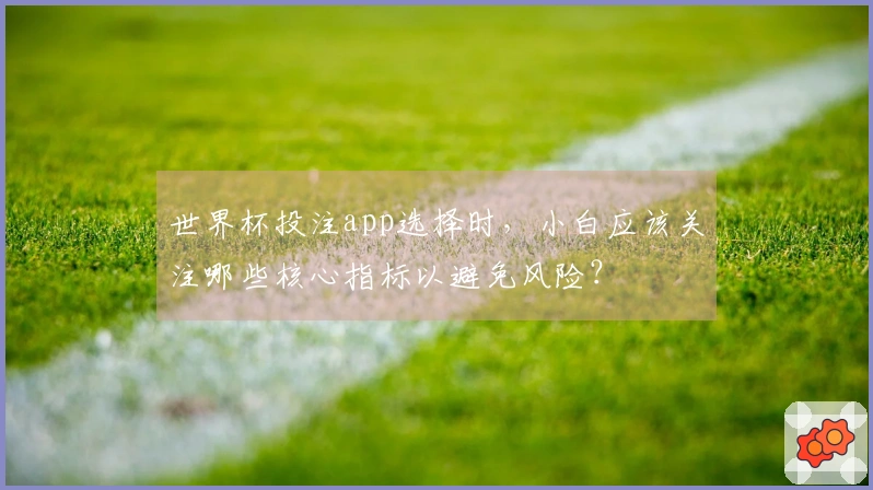 世界杯投注app选择时，小白应该关注哪些核心指标以避免风险？