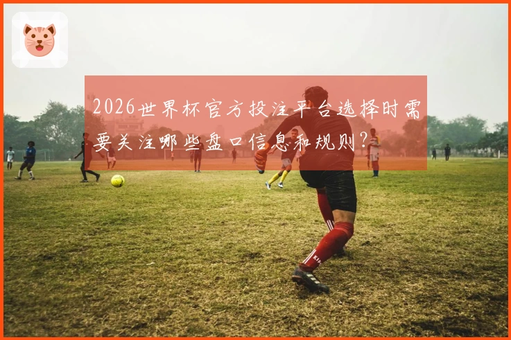 2026世界杯官方投注平台选择时需要关注哪些盘口信息和规则？