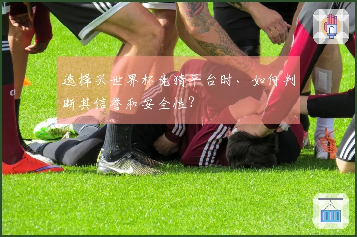 选择买世界杯竞猜平台时，如何判断其信誉和安全性？