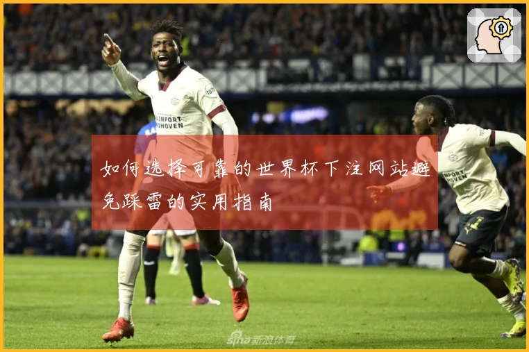 如何选择可靠的世界杯下注网站避免踩雷的实用指南