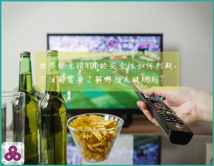 世界杯竞猜app的安全性如何判断，下注前需要了解哪些关键规则？