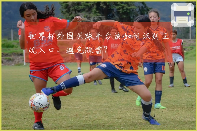 世界杯外围买球平台该如何识别正规入口，避免踩雷？