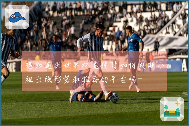 想知道买世界杯竞猜时如何判断小组出线形势和推荐的平台吗-