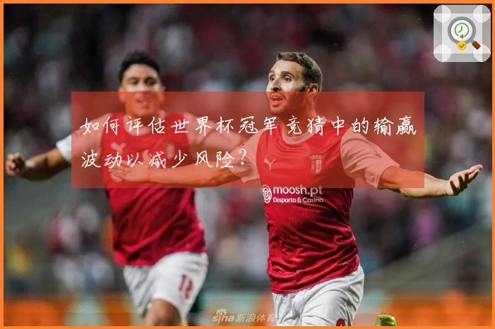 如何评估世界杯冠军竞猜中的输赢波动以减少风险？