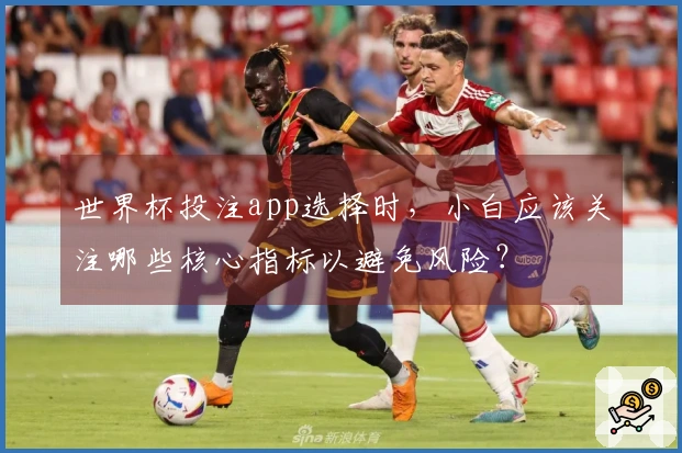 世界杯投注app选择时，小白应该关注哪些核心指标以避免风险？