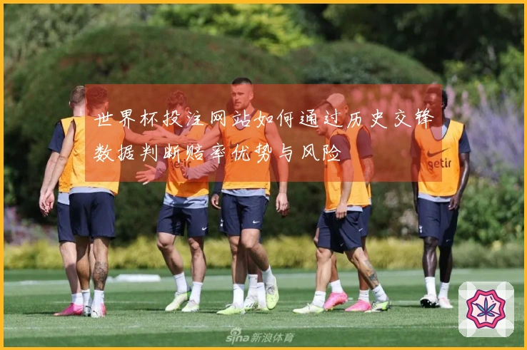 世界杯投注网站如何通过历史交锋数据判断赔率优势与风险