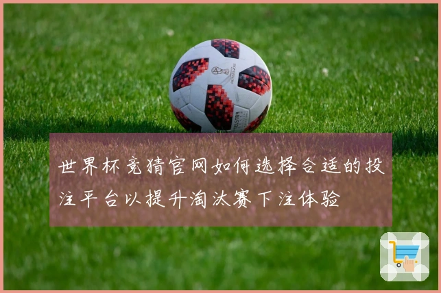 世界杯竞猜官网如何选择合适的投注平台以提升淘汰赛下注体验