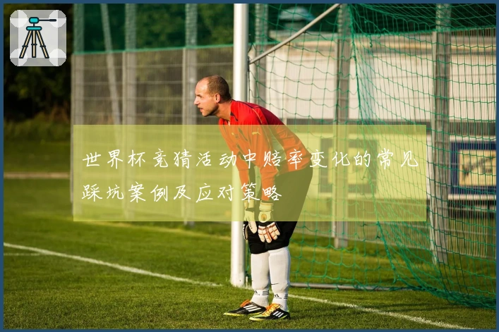 世界杯竞猜活动中赔率变化的常见踩坑案例及应对策略