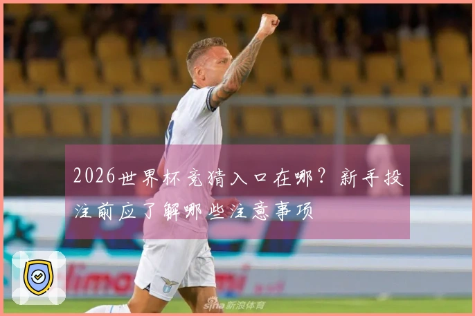 2026世界杯竞猜入口在哪？新手投注前应了解哪些注意事项