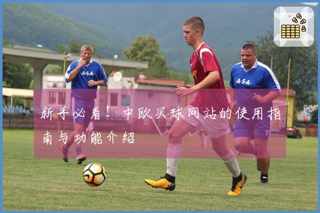 新手必看！中欧买球网站的使用指南与功能介绍